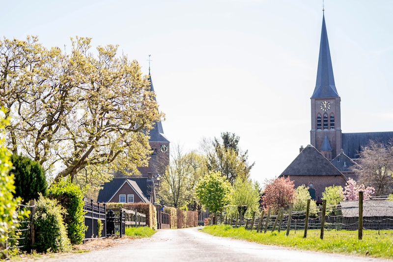 2 Bloesem Horssen 3 Kopie