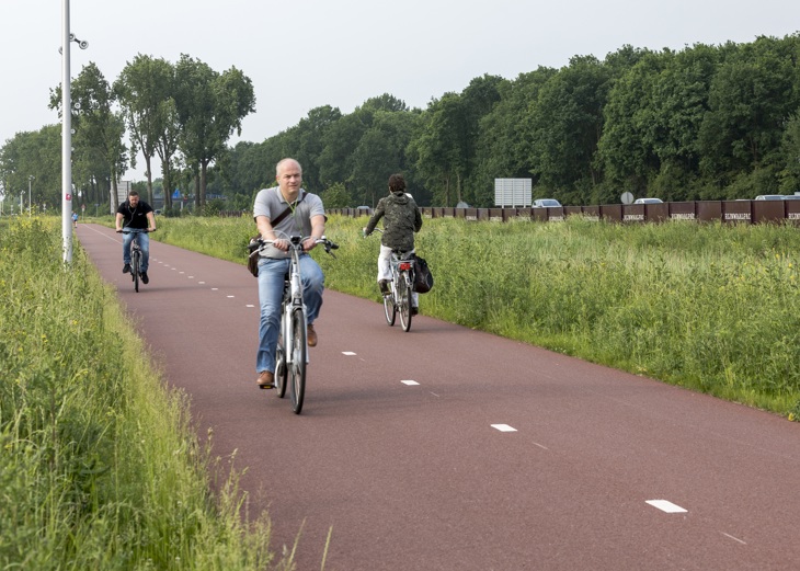 Fietser RijnWaalpad