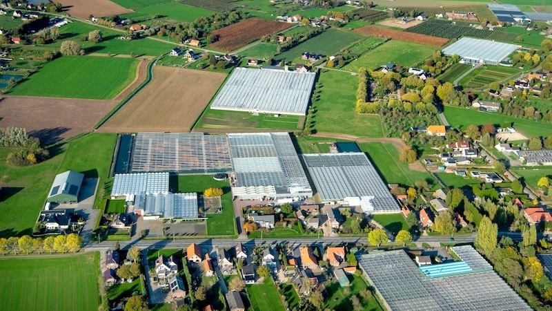9 Gemeentelingewaard Tuinderij 03 Kopie