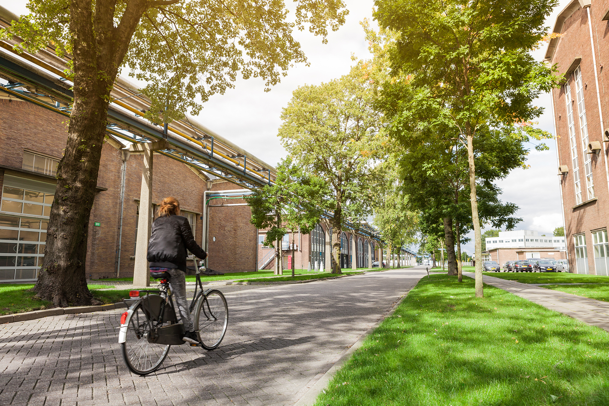 IPKW Hoofdstraat