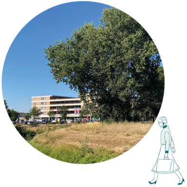 Eiland Van Laauwik