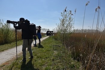 Vogels kijken in het middengebied in de regio Arnhem-Nijmegen