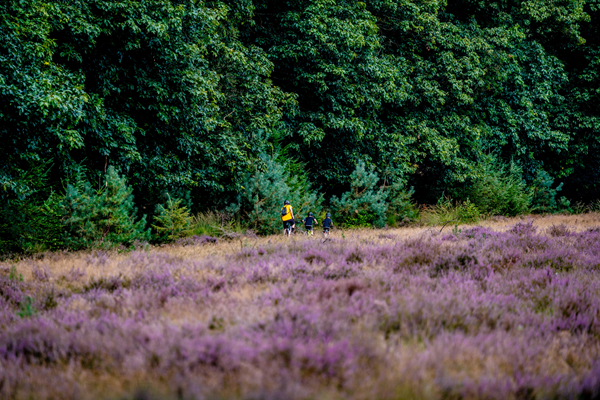 Hiedegebied Met Fietser Wandelroute Priesnitzhoeve Sprengen Laag Soeren