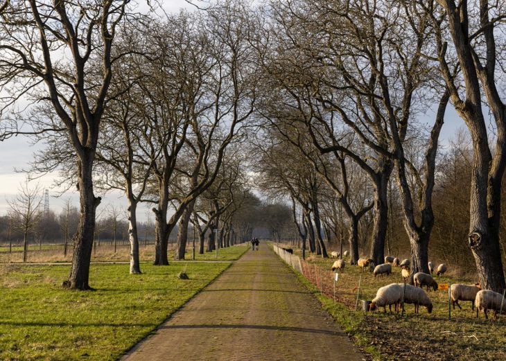 8E4ff4e8 1D61 4921 Bbd5 4B4919541ab6