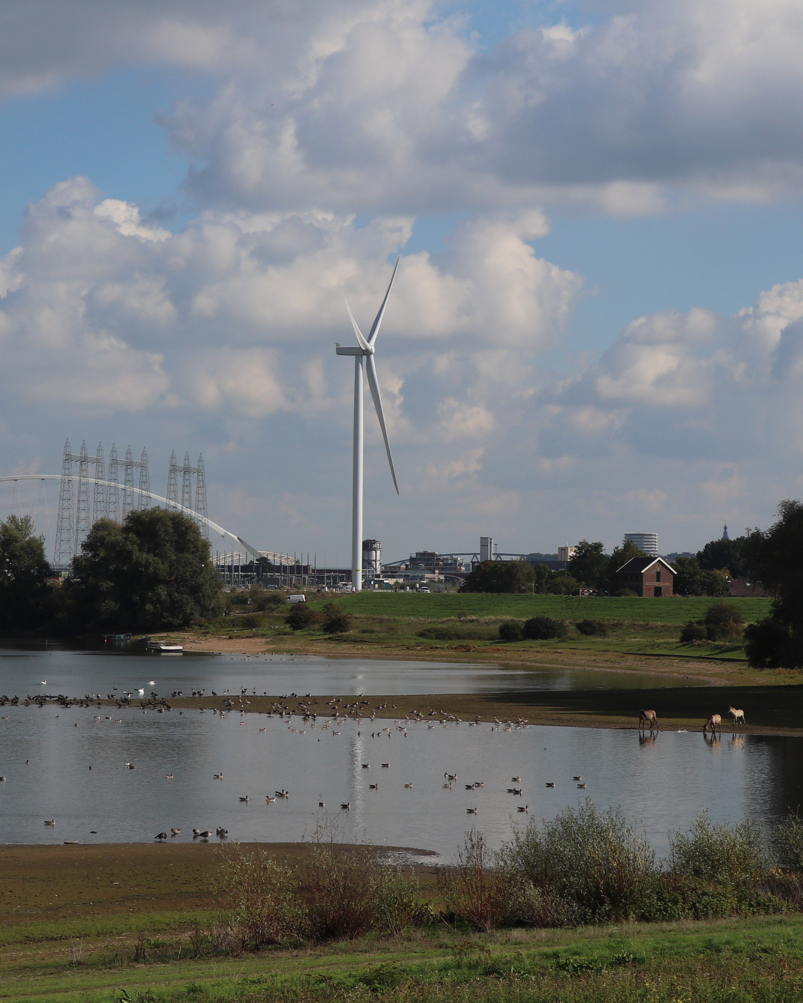 Windmolens En Natuur